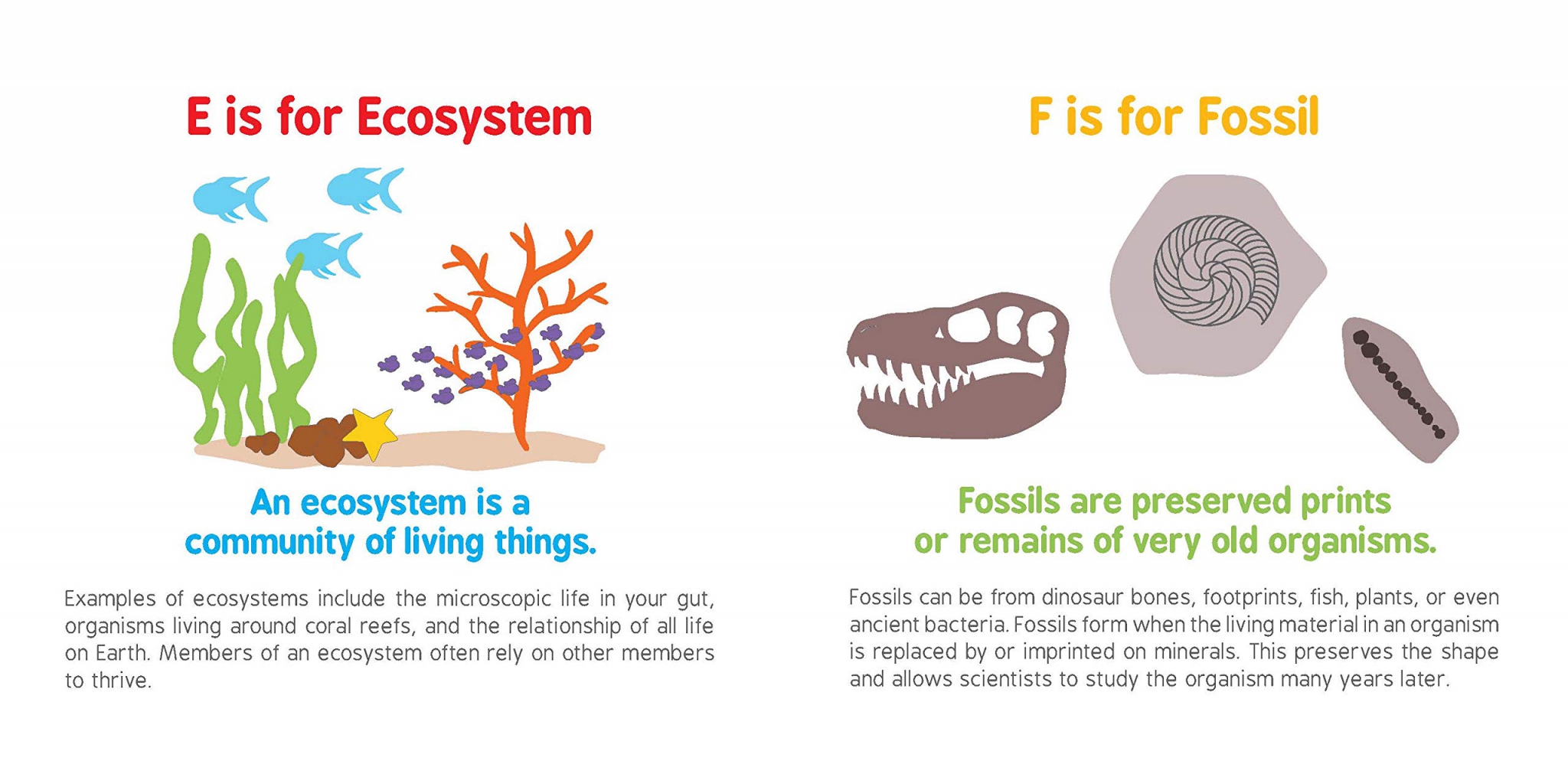 ABCs of Biology – Dr Chris Education